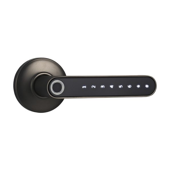 Keyless Security Door