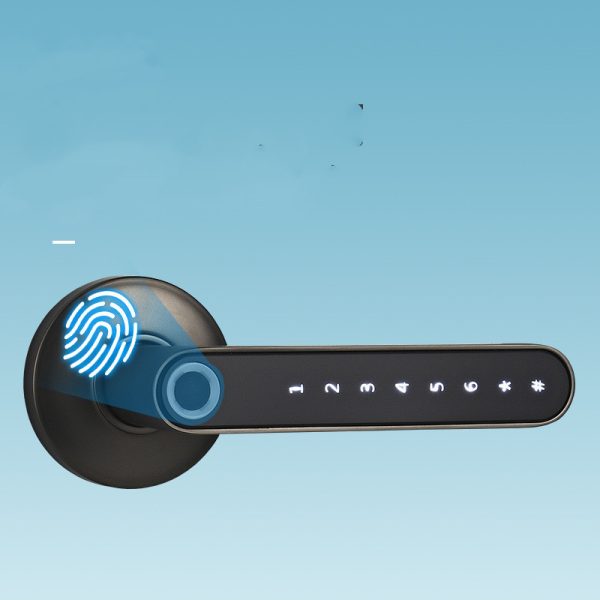 Keyless Security Door