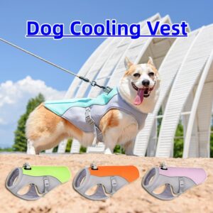 b7052f26-e933-4fe4-97fe-2d071ecbb64c.jpg Summer Pet Cooling Vest