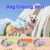 Summer Pet Cooling Vest