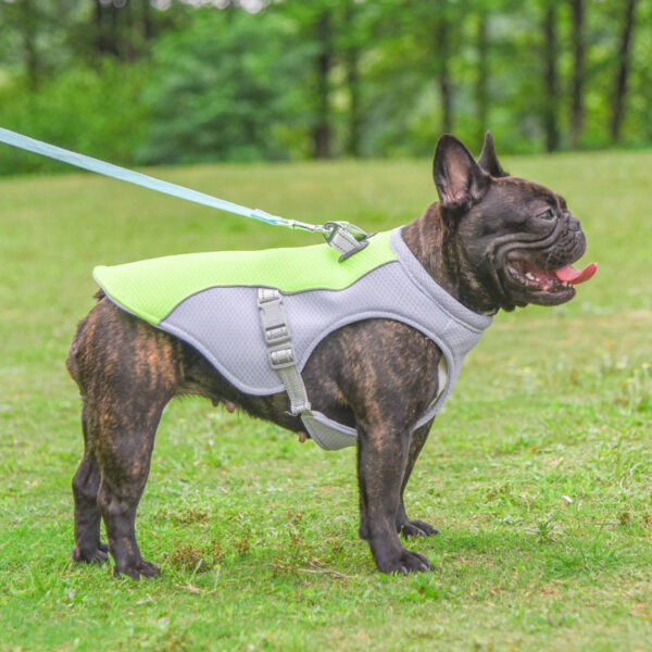 Summer Pet Cooling Vest